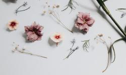 Featured image of post 【Hugo】Hugo+Github搭建个人博客