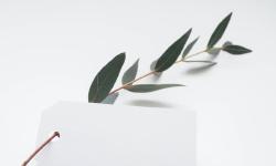 Featured image of post 【Hugo】Stack主题自定义修改